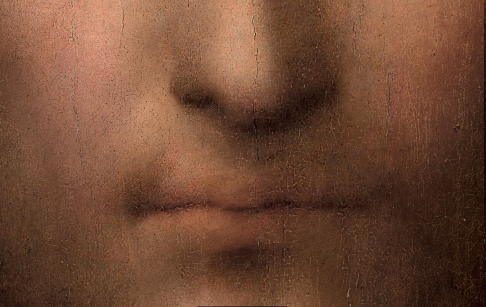 Leonardo+da+Vinci-1452-1519 (859).jpg
